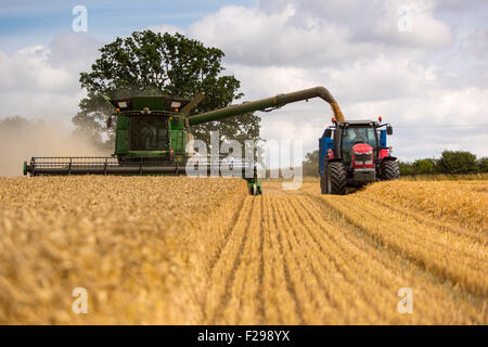 Moissonneuse batteuse / tracteur au travail la récolte du blé Banque D'Images