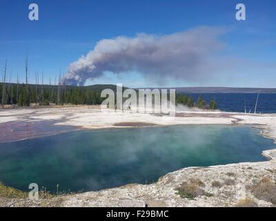 Epicéa feu vu de West Thumb dans Yellowstone National Park le 11 septembre 2015 à Yellowstone, Wyoming. Les incendies causés par la foudre continue de croître et a déjà brûlé 2 100 hectares de forêt. Banque D'Images