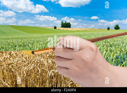 Concept de récolte - la main avec des peintures pinceau en blé mûr d'or green field Banque D'Images