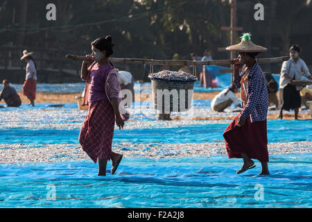 Les femmes locales portant un panier plein de poissons avec un mât en bambou, les poissons distribués à sécher sur filets bleus derrière, sur la plage du Banque D'Images