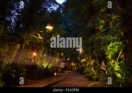 Un chemin à pied au milieu des arbres à Bandung Banque D'Images