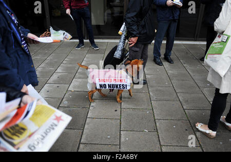 Brighton, UK. 15 Septembre, 2015. Un manifestant de l'arme nucléaire avec son chien portant un message de protestation à l'extérieur de la conférence qui se tiendra à TUC le Brighton Centre cette semaine Crédit : Simon Dack/Alamy Live News Banque D'Images