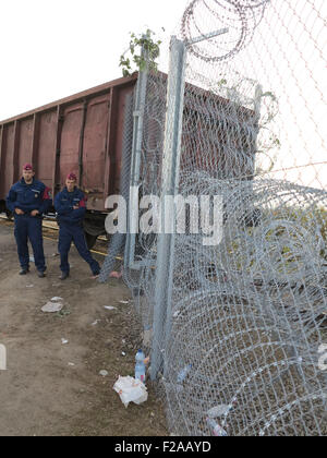 Roeszke, Hongrie. 15 Sep, 2015. La police hongroise sont affectés à la garde de la dernière section de la clôture frontalière à côté d'un wagon de marchandises entre la Hongrie et la Serbie, près de Roeszke, Hongrie, le 15 septembre 2015. Le wagon a été déplacé en position pour combler l'écart dans la dernière section de la 175 kilomètre de long clôture le long de la frontière entre la Serbie et la Hongrie. Photo : Thomas Brey/dpa/Alamy Live News Banque D'Images