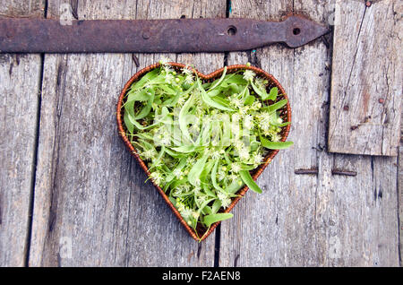 Panier en osier en forme de coeur plein de fleurs de tilleul en médecine douce Banque D'Images