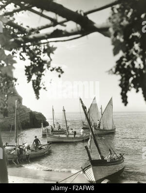 Voiliers en cove (OLVI008 OU  F301) Banque D'Images