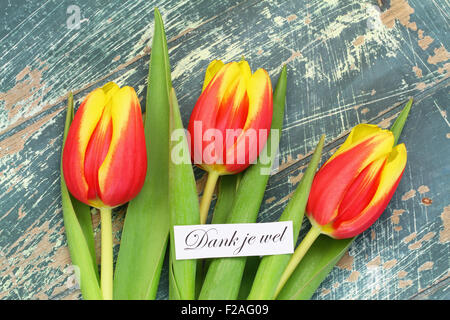 Dank je wel (ce qui signifie merci en néerlandais) avec des tulipes rouges et jaunes Banque D'Images