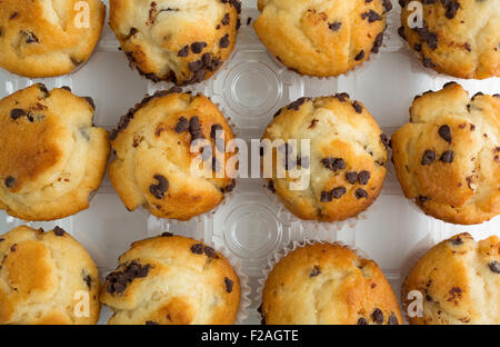 Vue de dessus d'un groupe composé de muffins aux pépites de chocolat dans le récipient en plastique. Banque D'Images