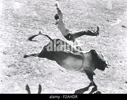 Bronco buster (OLVI007 OU  F983) Banque D'Images