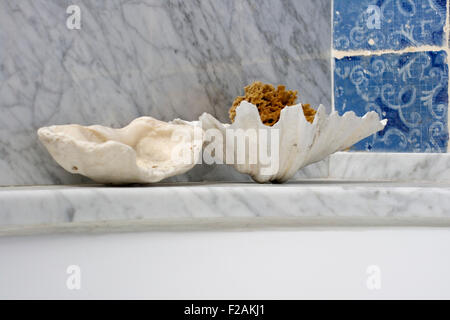 Plat de coquilles et d'une éponge, d'une salle de bains Banque D'Images