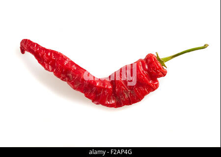 Hot chili pepper isolated on white Banque D'Images