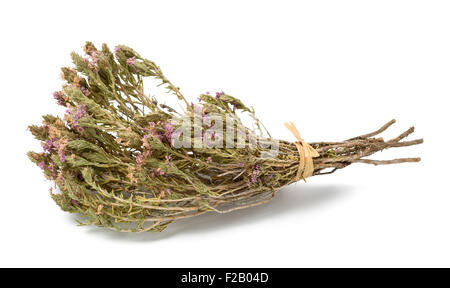 Thym séché avec des fleurs isolated on white Banque D'Images