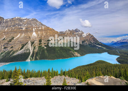 Le lac Peyto, Banff National Park, Alberta, Canada. Banque D'Images