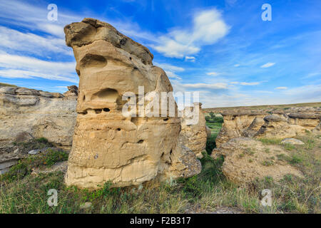 Les cheminées dans les badlands de la vallée de la rivière Milk, parc provincial Writing-on-Stone, Alberta, Canada. Banque D'Images