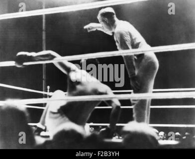 Compte Long 'Lutte', le gène Tunney-Jack Dempsey match de boxe du 21 septembre 22, 1927. Abattu par Dempsey Tunney dans le 7ème tour. Arbitre Dave Barry attendre plusieurs secondes pour lancer le compte jusqu'à Dempsey se retira dans un coin neutre. - (CSU 2015 5 145) Banque D'Images