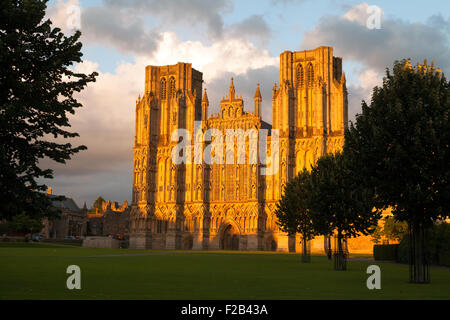 La magnifique cité médiévale de puits avant l'Ouest au coucher du soleil, la cathédrale de Wells, Somerset England UK Banque D'Images