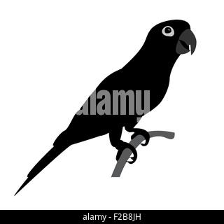 Silhouette de belle parrot isolé sur fond blanc- vector illustration Banque D'Images