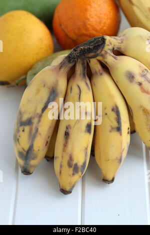 Les bananes de sucre ou également connu sous le nom de Ducasse avec bananes mangues , sumo mandarin et de goyave Banque D'Images