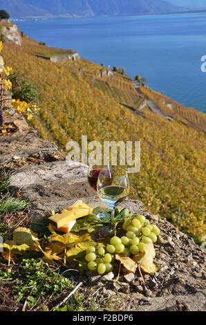 Deux wineglasses, fromage et raisins sur la terrasse d'un vignoble dans la région de Lavaux, Suisse Banque D'Images