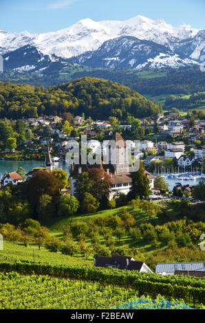 Le Château de Spiez, Suisse Banque D'Images