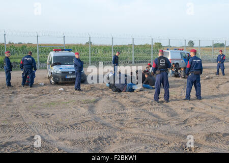 Roszke, Hongrie. 15 Sep, 2015. Les agents de police hongrois détenir des réfugiés qui ont traversé la frontière entre la Serbie et la Hongrie, près de la Hongrie, Roszke sur Septembre 15, 2015. La Hongrie nouvelle loi qui punit "passage des frontières illégales avec des peines de prison est entré en vigueur mardi. Credit : Attila Volgyi/Xinhua/Alamy Live News Banque D'Images