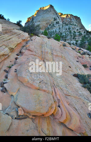 Afficher le long de Park road, la Route 9, au Canyon de Zion National Park dans le sud-ouest de l'Utah Banque D'Images