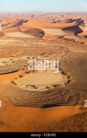 La célèbre Sossusvlei dans le premier plan et le Dead Vlei, en haut à droite, les casseroles à sec dans le centre du désert du Namib, camel thorn Banque D'Images