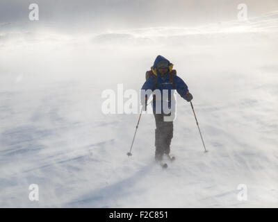 Ski dans un blizzard dans le Nord de la Norvège Banque D'Images