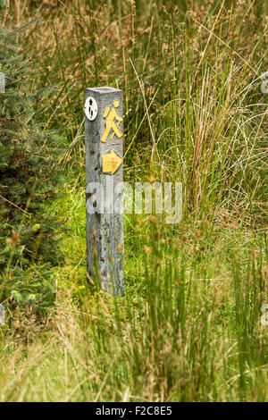 Enseigne sur le chemin balisé Wicklow Way randonnée à vélo en Irlande Banque D'Images