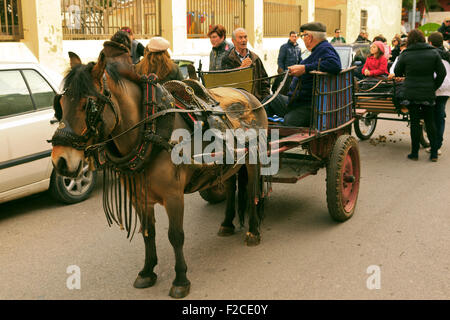 Cheval Espagnol & Panier à Bénédiction des animaux festival à Madrid, Espagne Banque D'Images