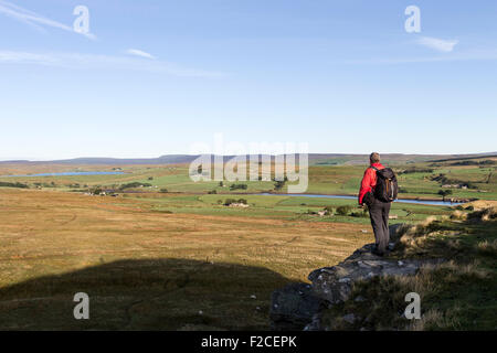 Walker Hill bénéficiant de la vue sur l'Blackton et Balderhead les réservoirs des Goldsborough Crag Teesdale County Durham UK Banque D'Images