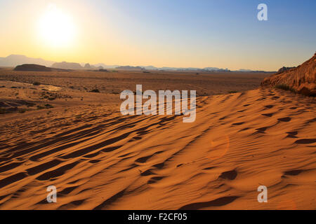 Dans l'après-midi du désert arabique Banque D'Images