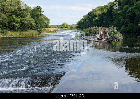 Vue de la rivière Derwent à Workington Mill Field jusqu'à la coulée vers Cockermouth. Cumbria dans le nord-ouest de l'Angleterre Banque D'Images