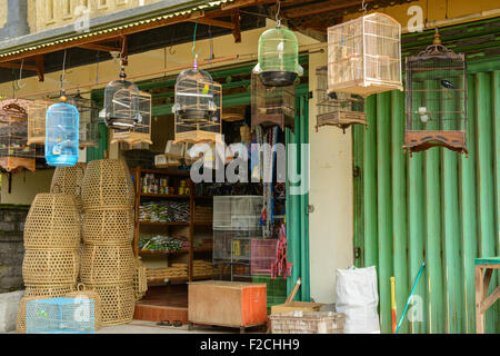 Oiseaux de cage et de Hen Coops en vente dans ce magasin coloré à Seminyak, Bali Banque D'Images