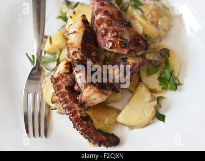 Regardant le poulpe grillé sur une salade de pommes de terre Fingerling Banque D'Images