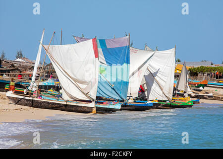 Pirogues de pêche traditionnels colorés avec des voiles sur la plage du village de pêcheurs côtiers Anakao / Anokao, Atsimo-Andrefana, Madagascar Banque D'Images