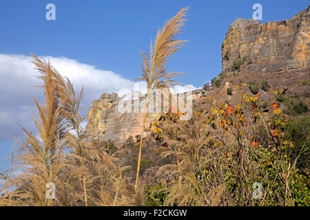 Des formations de roche de grès érodées et de hautes herbes dans le Parc National d'Isalo Ranohira Ihosy, près de l'Ihorombe,, Madagascar, Afrique Banque D'Images