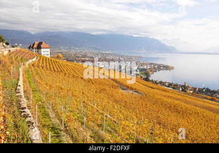 Vignobles de Lavaux, Suisse Banque D'Images