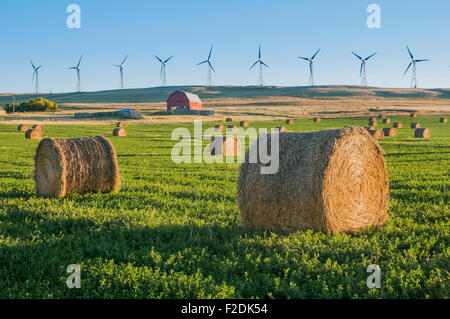 Bottes de foin et ferme, avec l'usine de Cowley Ridge wind turbines du générateur en arrière-plan, Cowley, Alberta Banque D'Images