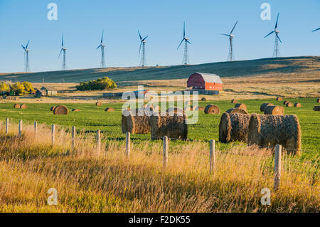 Bottes de foin et ferme, avec l'usine de Cowley Ridge wind turbines du générateur en arrière-plan, Cowley, Alberta Banque D'Images