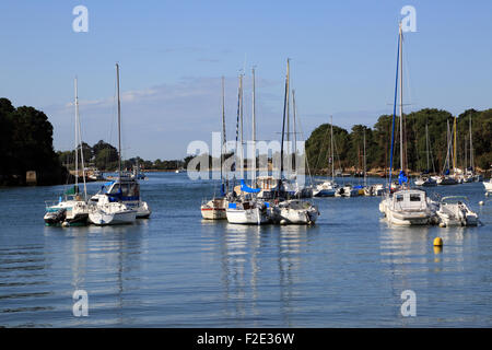 Vue de la location de bateaux à voile à La Plage Presqu'ile de conleau, Vannes, Morbihan, Bretagne, France, Europe Banque D'Images