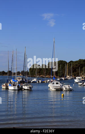 Vue de la location de bateaux à voile à La Plage Presqu'ile de conleau, Vannes, Morbihan, Bretagne, France, Europe Banque D'Images