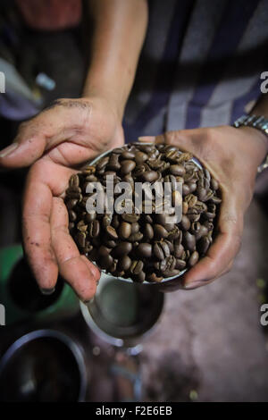 Grains de café arabica torréfiés à un fabricant de café Toraja à Rantepao, North Toraja, South Sulawesi, Indonésie. Banque D'Images