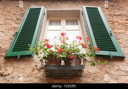Pienza, Toscane, Italie. Vieille fenêtre avec des fleurs. Banque D'Images