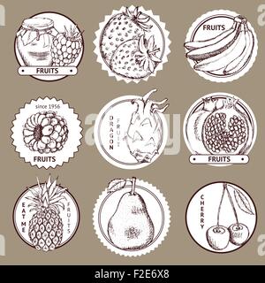 Fruits croquis dans logo style vintage, vector set Illustration de Vecteur