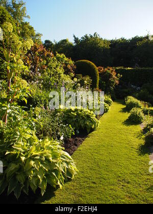 Vue Portrait de jardin en contrebas en plein soleil d'après-midi à Chenies Manor ; l'herbe verte et fraîche de nouveaux hostas et les jeunes plantes à feuilles Banque D'Images