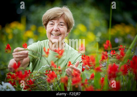 Parsonage gardens dans Didsburyflower jumeaux blooming bloom tidy joli parc de loisirs loisirs publics open space jouer jouer Banque D'Images