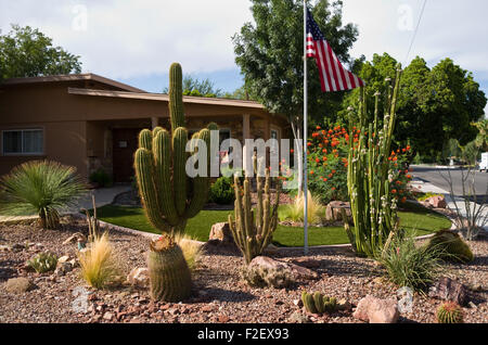 Las Vegas, Nevada, USA. Août 27, 2015. Cactus poussent dans une cour avant à Las Vegas, Nevada, USA, 27 août 2015. Ville la plus sèche de l'Amérique est de 14 ans en une sécheresse historique, alors même que sa population continue de croître, s'étendant des ressources en eau qui étaient serrées pour commencer. Photo : Marcus Teply/dpa/Alamy Live News Banque D'Images