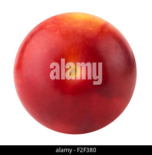Cherry Plum rouge isolé sur fond blanc. Banque D'Images