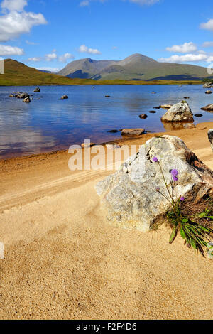 Petit loch / lochan sur Rannoch Moor , West Highlands, Ecosse Banque D'Images