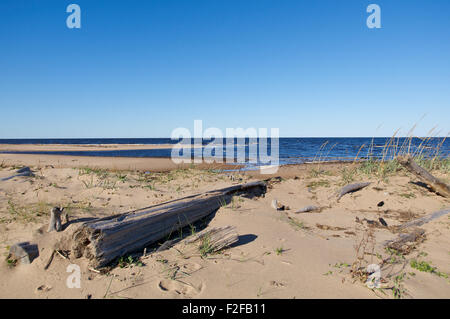 Blanc côte mer .La Russie, Moscow. Banque D'Images